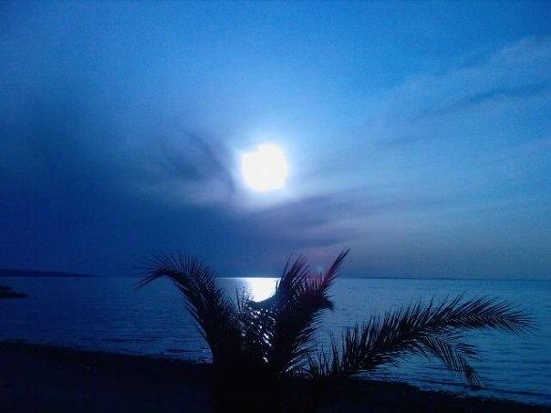 House With Swimming Pool Blue Diamond Leilighet Povljana Rom bilde